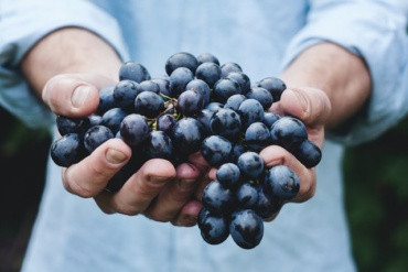 Et dybere kig på Montepulciano: Italiens bedst bevarede hemmelighed?